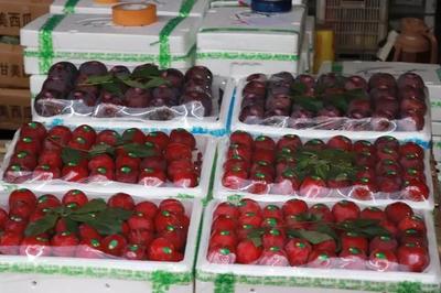 武汉很大的光霞水果批发市场里面都卖什么