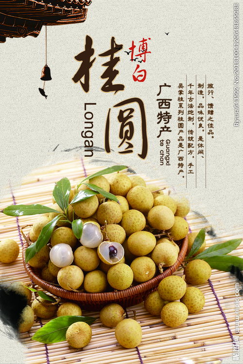 广西特产桂圆坚果零食干货海报图片
