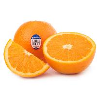 新奇士甜橙供应商 新奇士甜橙批发商 价格表